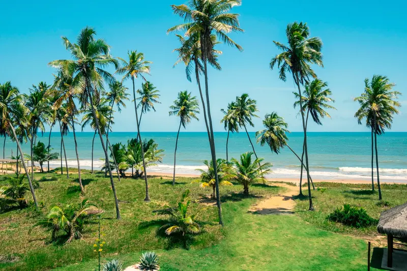 Jardim com coqueiros e caminho para a praia no Iberostar Selection Praia do Forte